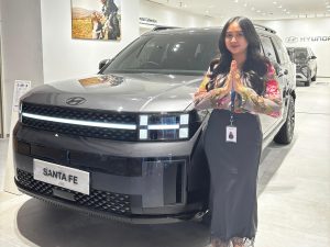 All New Santa FE